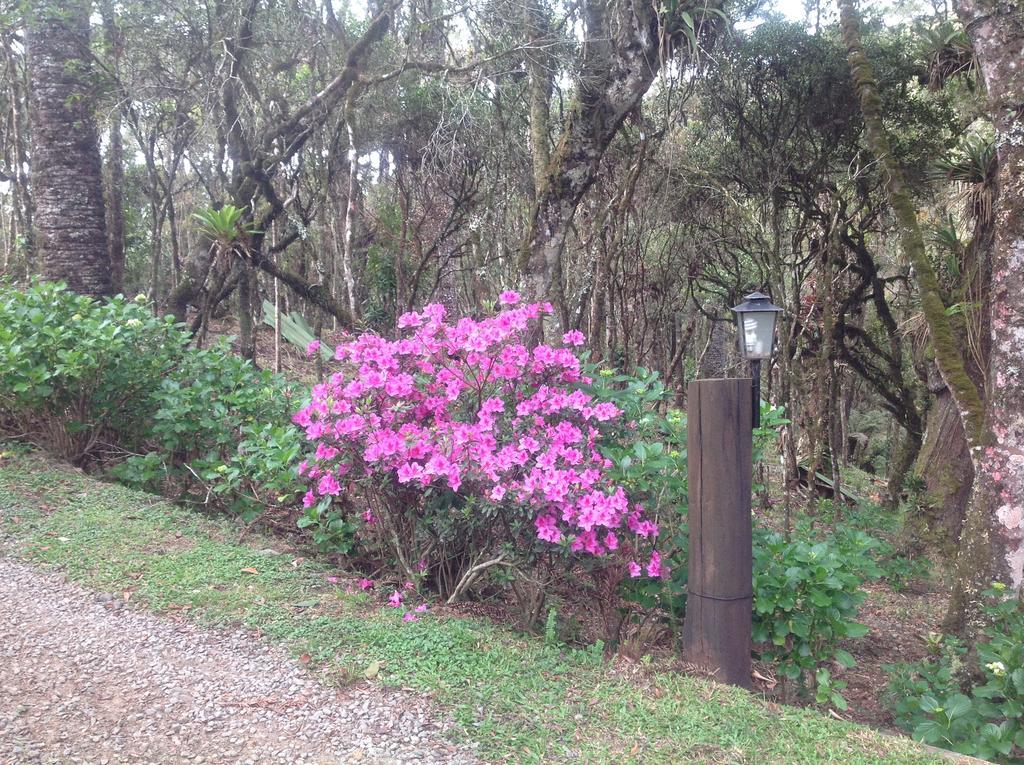 Chales Do Ferradura Campos do Jordao Bagian luar foto